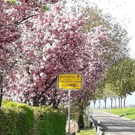Gaestehaus Lifestyle Kirrweiler  Kültér fotó