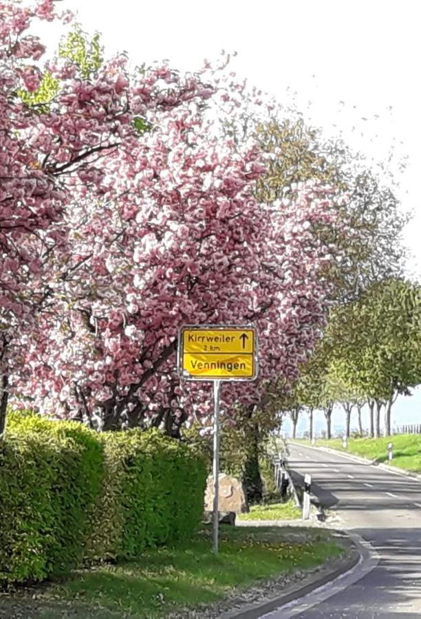 Gaestehaus Lifestyle Kirrweiler  Kültér fotó